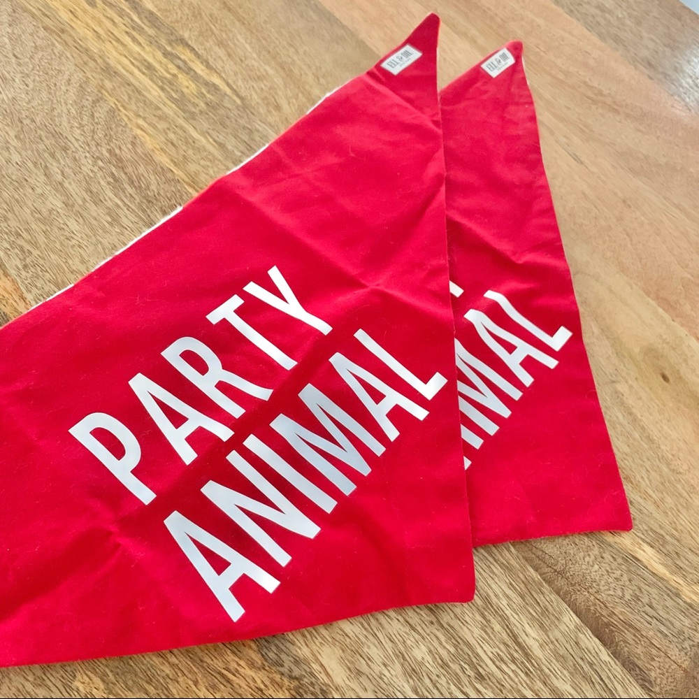 | “party animal” reversible red solo cup dog bandana | - Picture 6 of 10